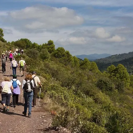 Apartment Al-114 - - Alcazaba Lagoon 2 Bed